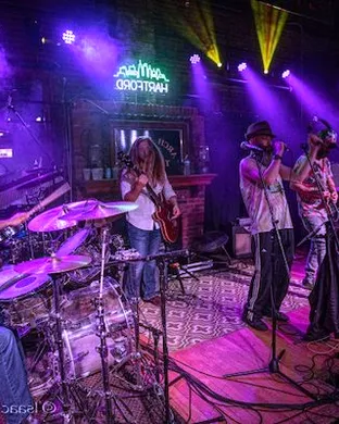 Bearly Dead - Grateful Dead Tribute Charleston