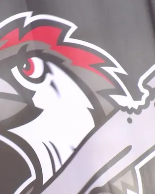 Fayetteville Woodpeckers Charleston
