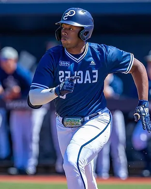 Georgia Southern Eagles Baseball Statesboro