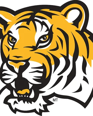 LSU Tigers vs. The Citadel Bulldogs Baseball