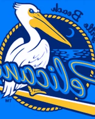 Myrtle Beach Pelicans Charleston