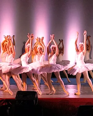 Swan Lake Charleston