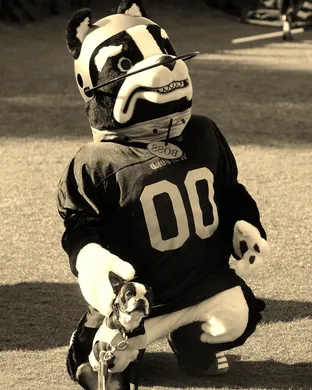 Wofford Terriers Football Spartanburg